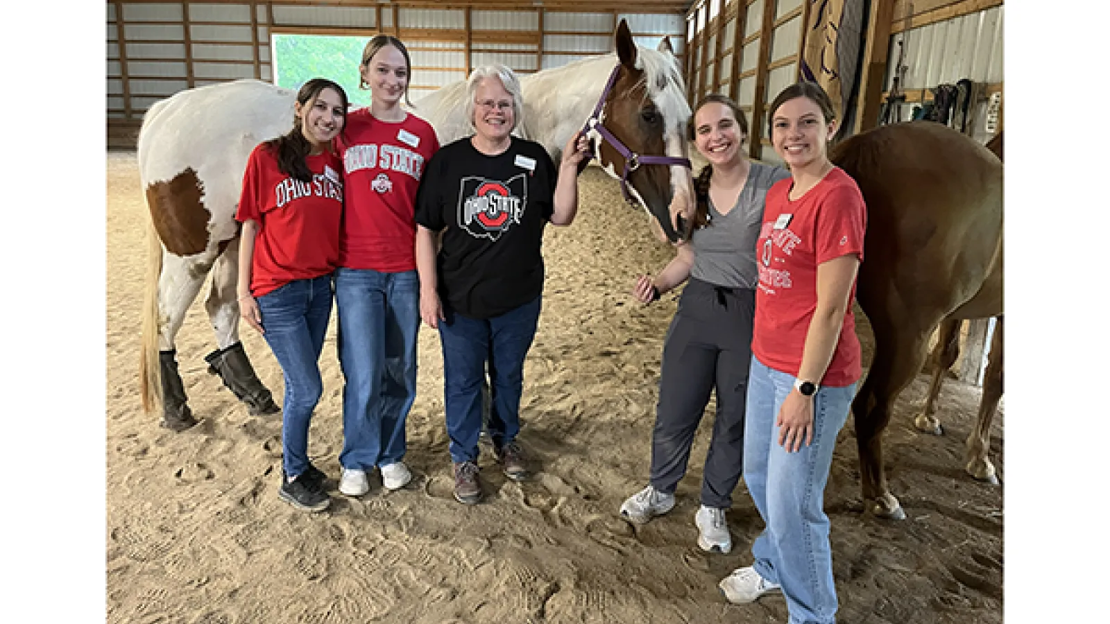 group photo by horses